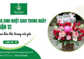 Hoa sinh nhật giao trong ngày quận 12 hỏa tốc chỉ trong vài giờ