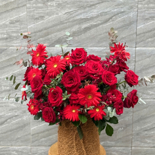 Hoa Hồng Đỏ Nồng Nàn – Tình Yêu Vĩnh Cửu 