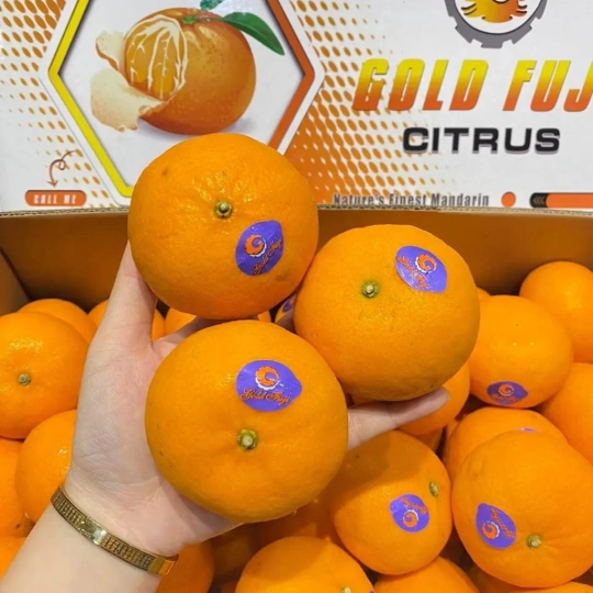 Quýt Úc  