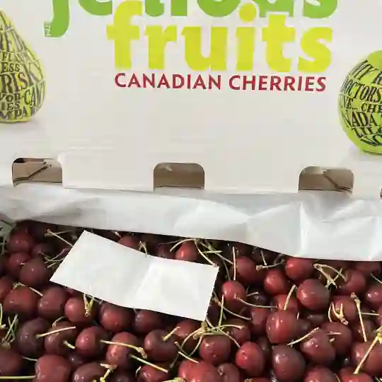 Cherry Canada 