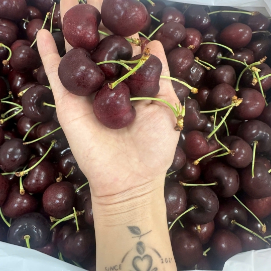 CHERRY MỸ SIZE 9  