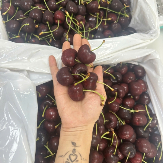 CHERRY MỸ SIZE 9 
