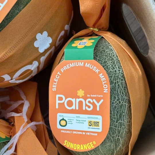 DƯA LƯỚI NHẬP KHẨU PANSY  