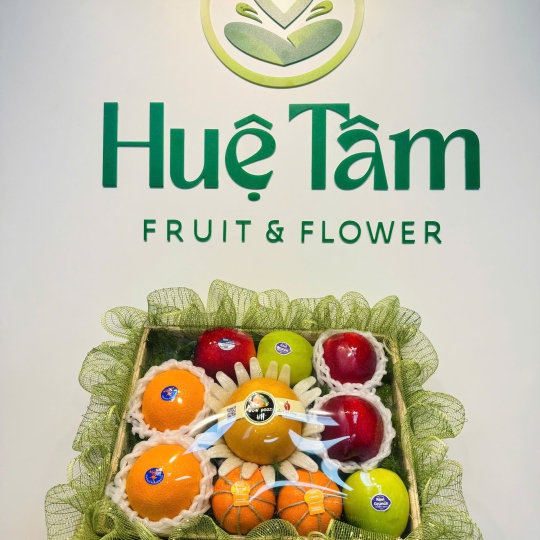 KHAY QUÀ TẶNG TRÁI CÂY XANH AN LÀNH  
