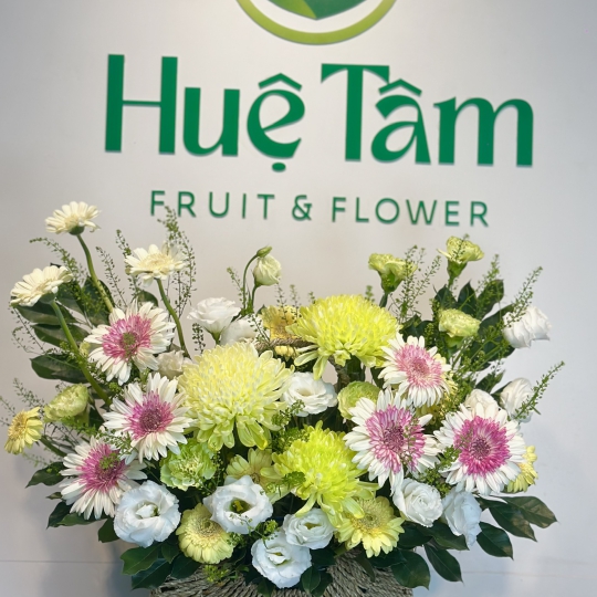🌸 Giỏ Hoa Xuân Thanh Khiết 