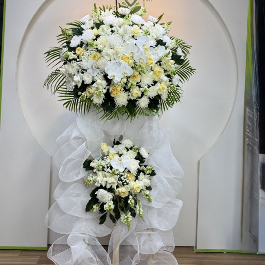 🌼 Kệ Hoa Kính Tiếc An Miên 