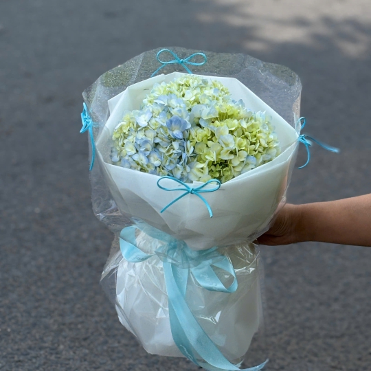 💎 Bó Tú Cầu Pastel – Lời Yêu Bình Yên 
