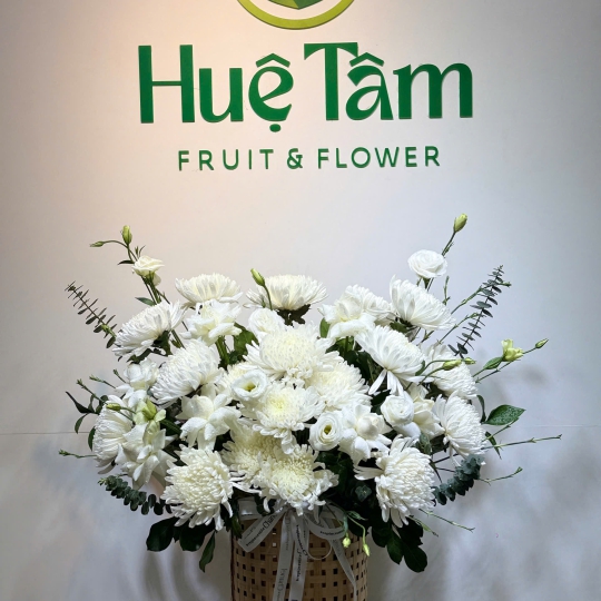 🌿 Snowy Grace – Thanh Nhã Tuyết Trắng 