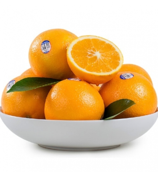 Cam Úc