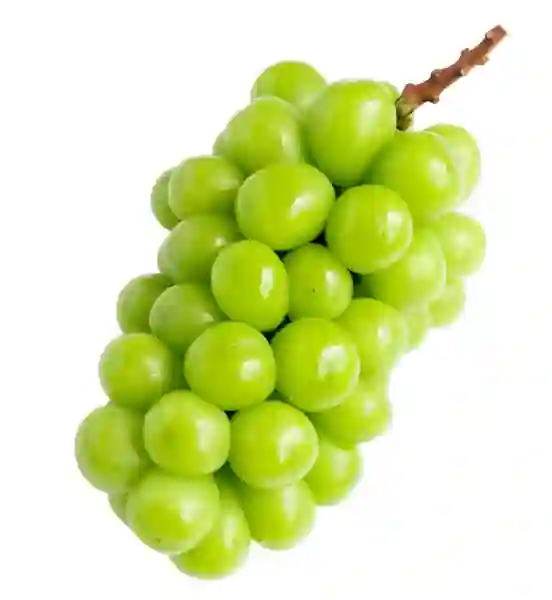Nho mẫu đơn