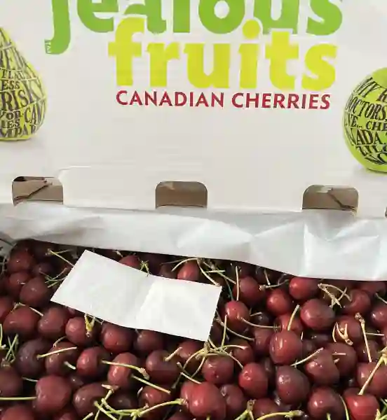 Cherry Canada