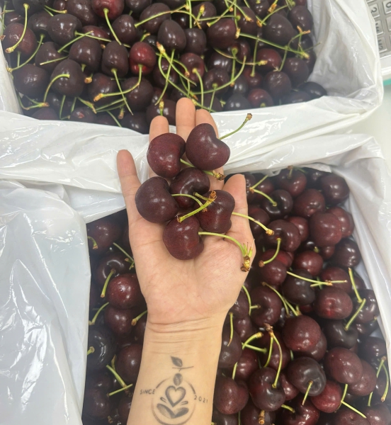 CHERRY MỸ SIZE 9