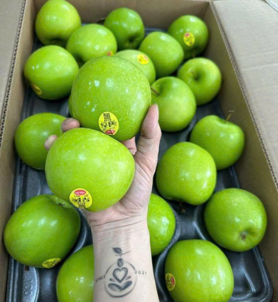 TÁO XANH CHUÔNG MỸ