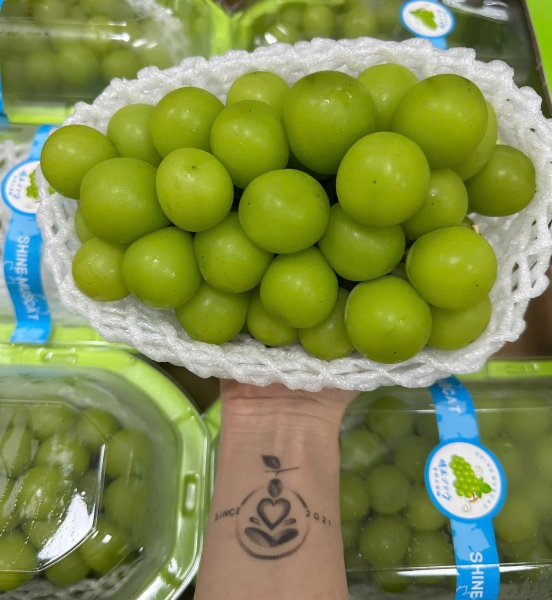 NHO MẪU ĐƠN NHẬP KHẨU