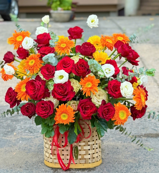 🌹 Sunshine Scarlet Garden – Khu Vườn Đỏ Rực Ánh Dương ✨