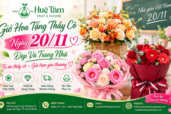 Giỏ Quà Trái Cây 20/11 – Món Quà Sức Khỏe Tri Ân Thầy Cô